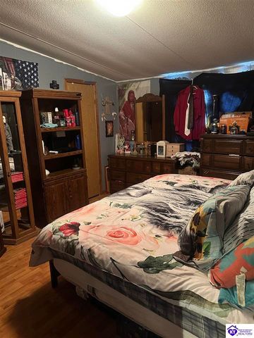 1536 Hobbs Reesor Road, Vine Grove, KY 40175