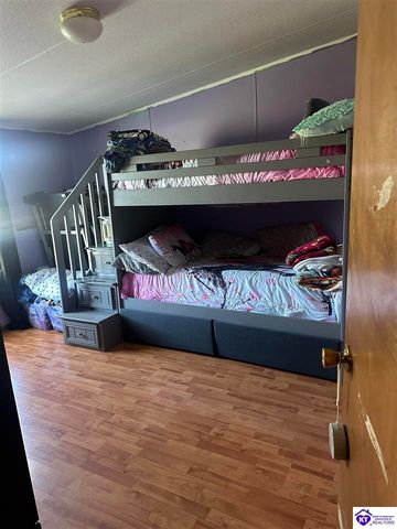 1536 Hobbs Reesor Road, Vine Grove, KY 40175