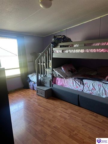 1536 Hobbs Reesor Road, Vine Grove, KY 40175