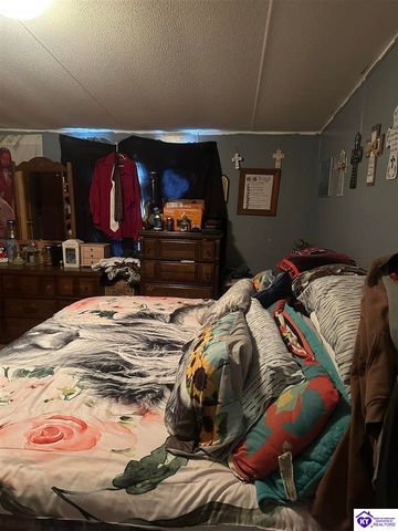 1536 Hobbs Reesor Road, Vine Grove, KY 40175