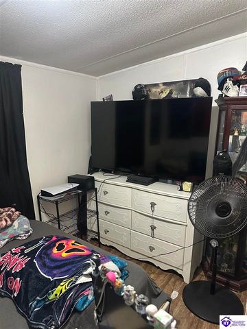 1536 Hobbs Reesor Road, Vine Grove, KY 40175