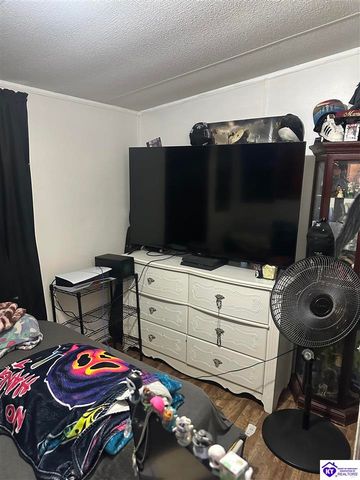 1536 Hobbs Reesor Road, Vine Grove, KY 40175