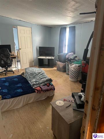 1536 Hobbs Reesor Road, Vine Grove, KY 40175