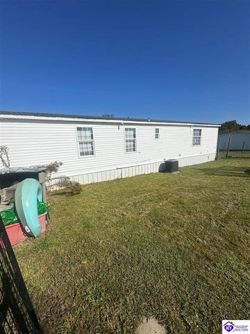 1536 Hobbs Reesor Road, Vine Grove, KY 40175