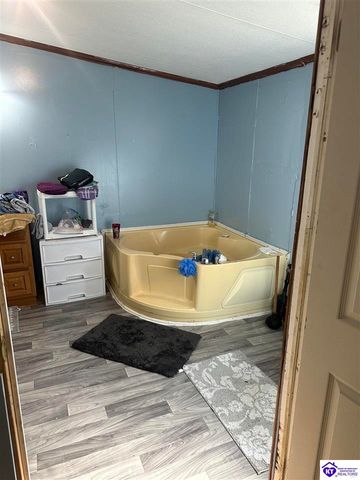 1536 Hobbs Reesor Road, Vine Grove, KY 40175