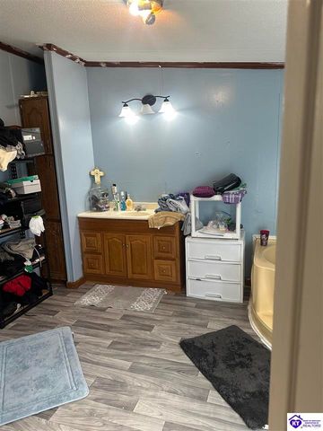 1536 Hobbs Reesor Road, Vine Grove, KY 40175