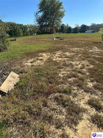 1536 Hobbs Reesor Road, Vine Grove, KY 40175