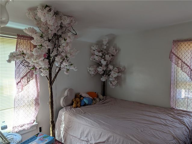 1490 E 250th Street, Euclid, OH 44117