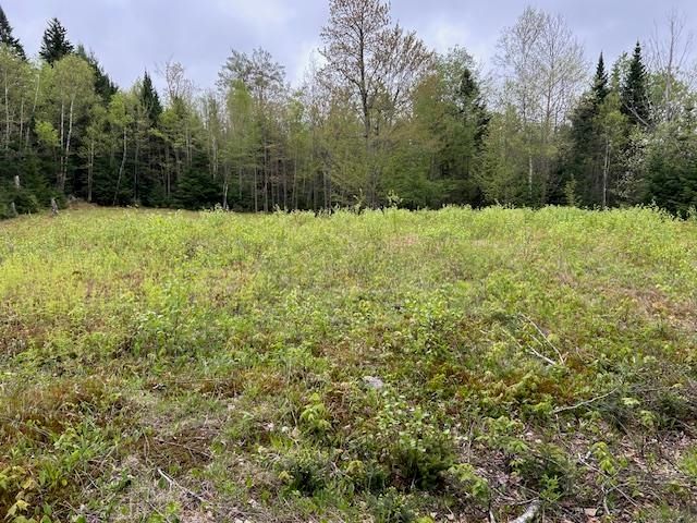 - Piper Hill Road, Colebrook, NH 03576