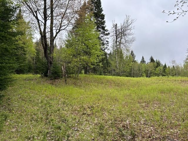 - Piper Hill Road, Colebrook, NH 03576