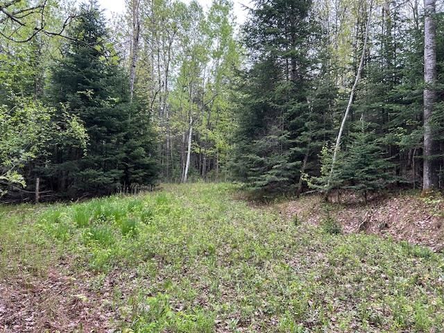 - Piper Hill Road, Colebrook, NH 03576