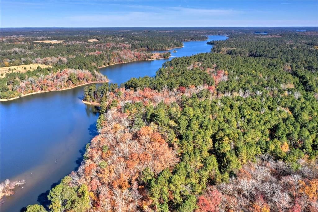 144.56 AC BEN Lane, Lincolnton, GA 30817