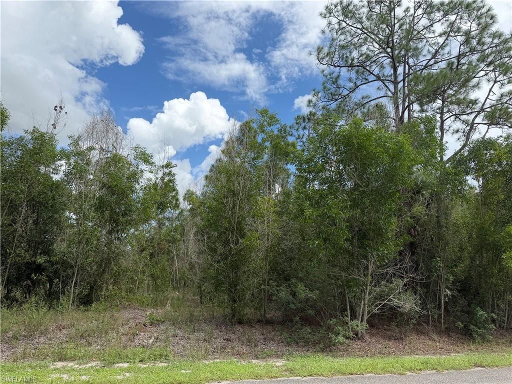 216 Scott AVE, LEHIGH ACRES, FL 33936 — exterior