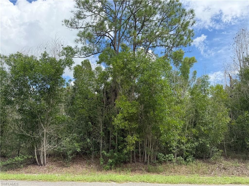 216 Scott AVE, LEHIGH ACRES, FL 33936 — photo 2