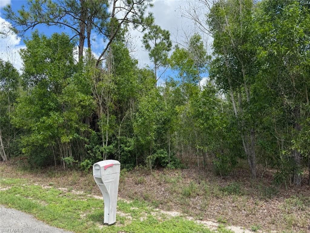 216 Scott AVE, LEHIGH ACRES, FL 33936 — photo 3