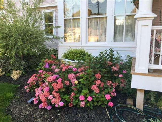 461 Fifth Street, Manistee, MI 49660