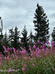 40022 Skookum Road, Homer, AK 99603
