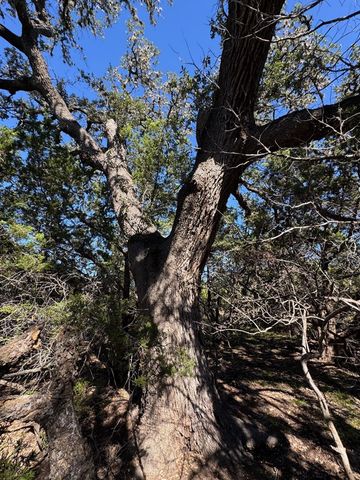 TBD FM 2828, Bandera, TX 78003