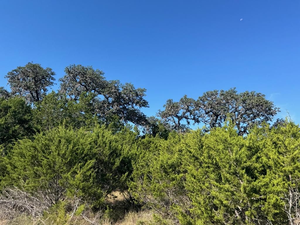 TBD FM 2828, Bandera, TX 78003