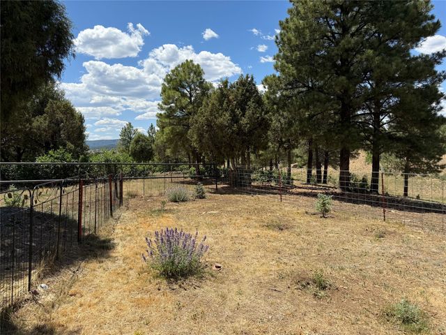 44 Elk Drive, Chama, NM 87520