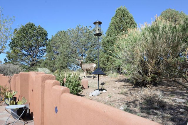 1219 Rockrose Road NE, Albuquerque, NM 87122