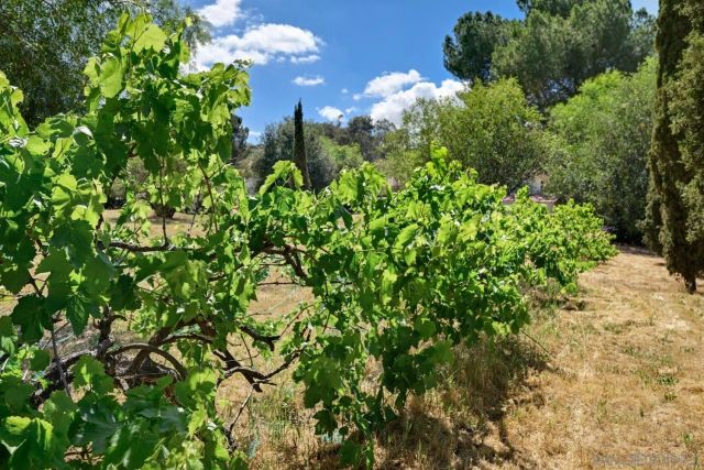 267 Via Taquita, Ramona, CA 92065