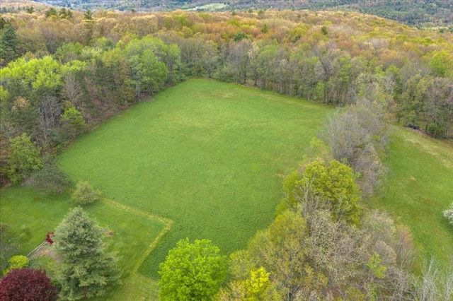 1049 Old State Road, Kirkwood, NY 13904