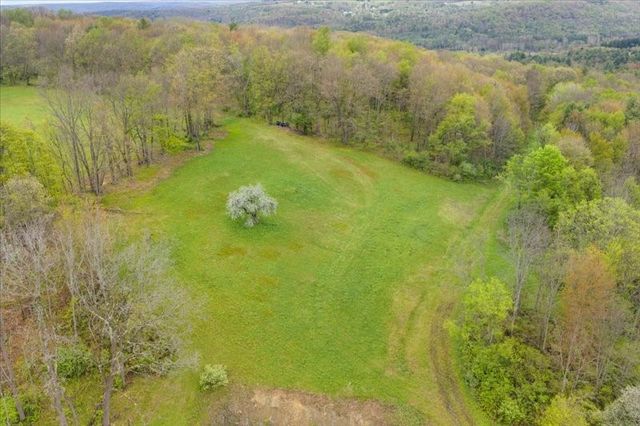 1049 Old State Road, Kirkwood, NY 13904