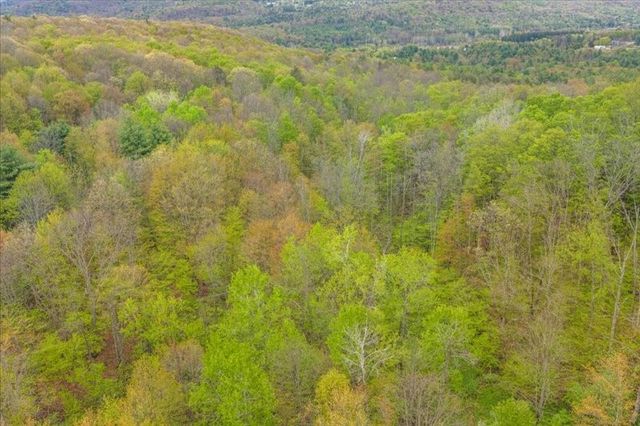 1049 Old State Road, Kirkwood, NY 13904