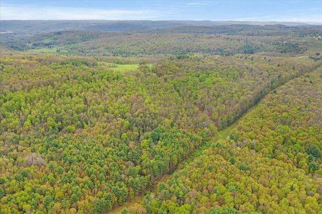 1049 Old State Road, Kirkwood, NY 13904