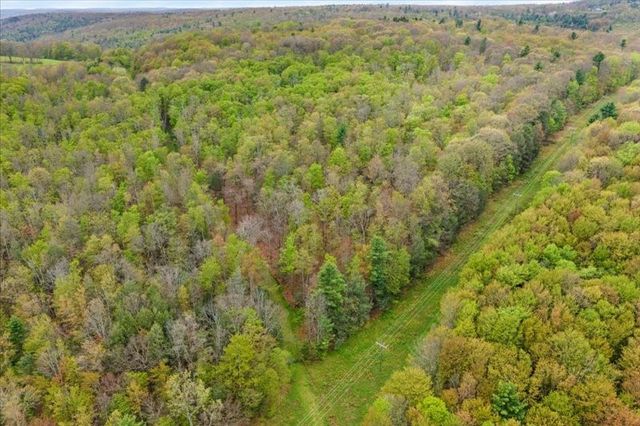 1049 Old State Road, Kirkwood, NY 13904