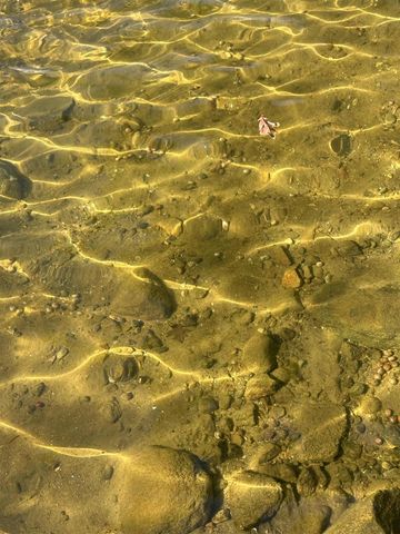 4435 Indian Isle, Battle Creek, MI 49017