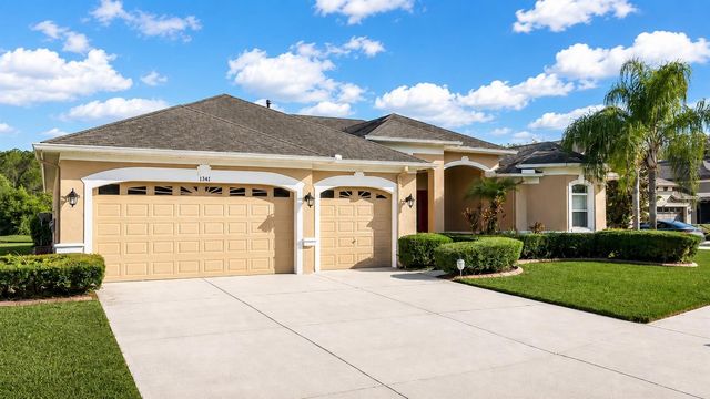 1341 SALMONBERRY STREET, Wesley Chapel, FL 33543