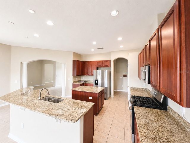 1341 SALMONBERRY STREET, Wesley Chapel, FL 33543