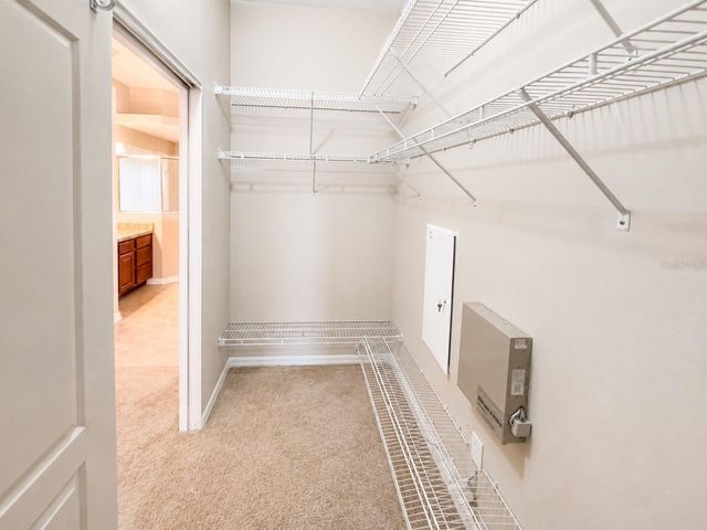1341 SALMONBERRY STREET, Wesley Chapel, FL 33543