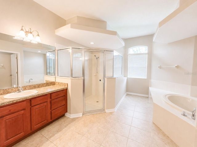 1341 SALMONBERRY STREET, Wesley Chapel, FL 33543