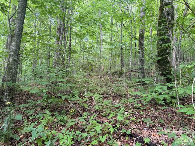 64A Jonathan Trail, Maggie Valley, NC 28751