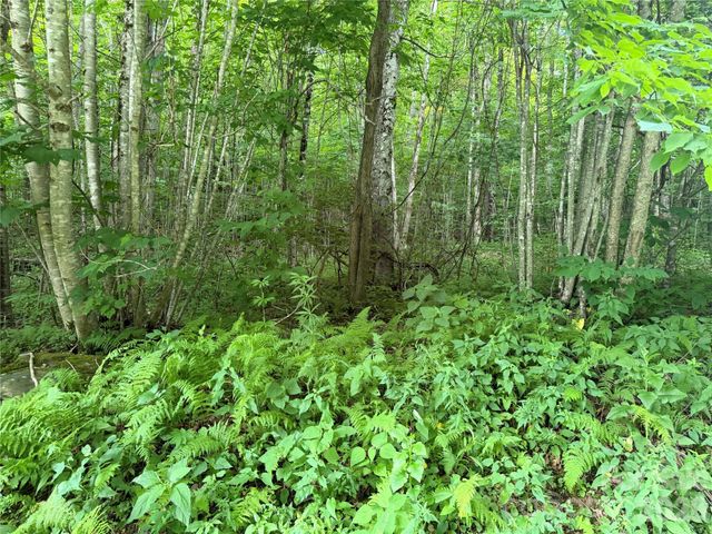 64A Jonathan Trail, Maggie Valley, NC 28751