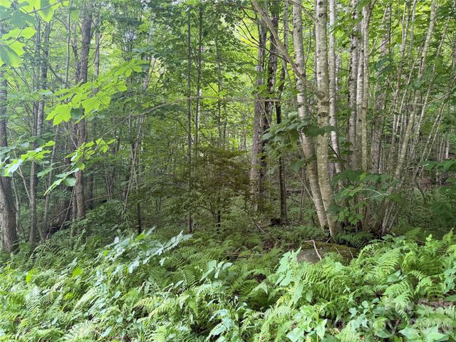 64A Jonathan Trail, Maggie Valley, NC 28751