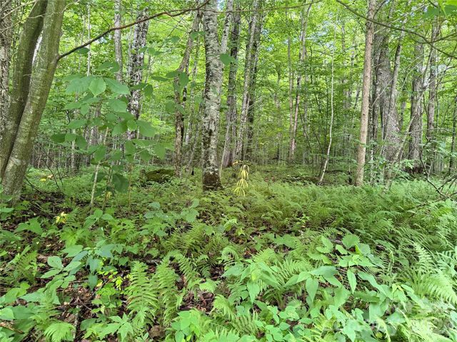 64A Jonathan Trail, Maggie Valley, NC 28751