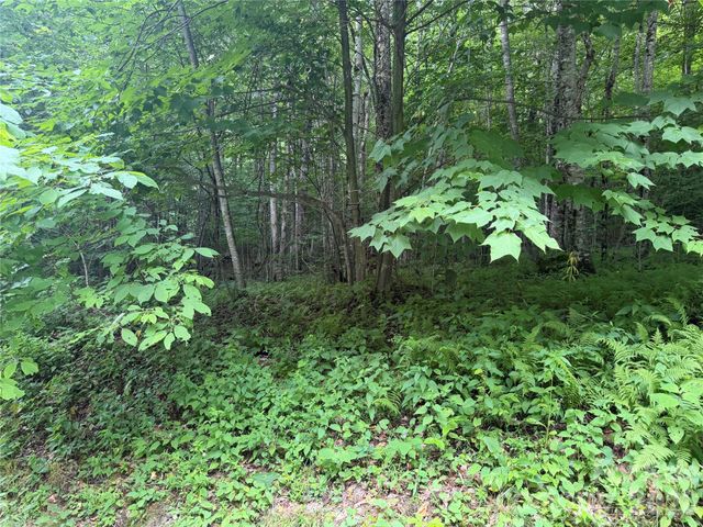 64A Jonathan Trail, Maggie Valley, NC 28751