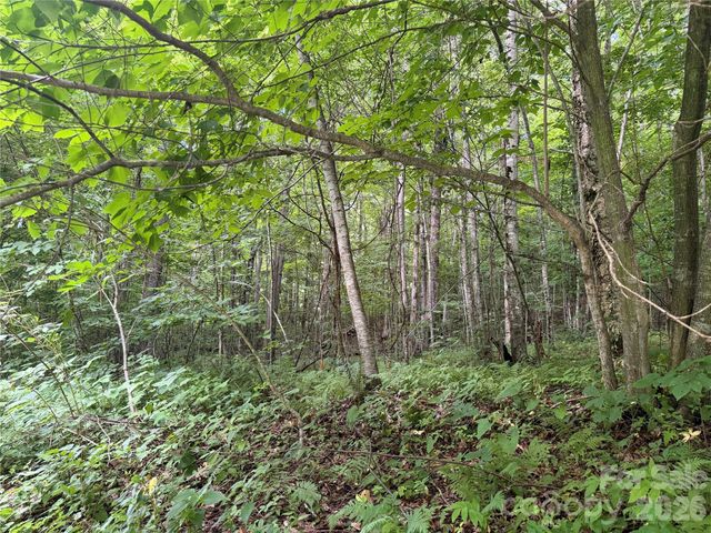 64A Jonathan Trail, Maggie Valley, NC 28751