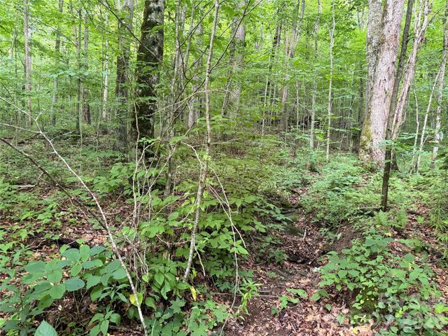 64A Jonathan Trail, Maggie Valley, NC 28751