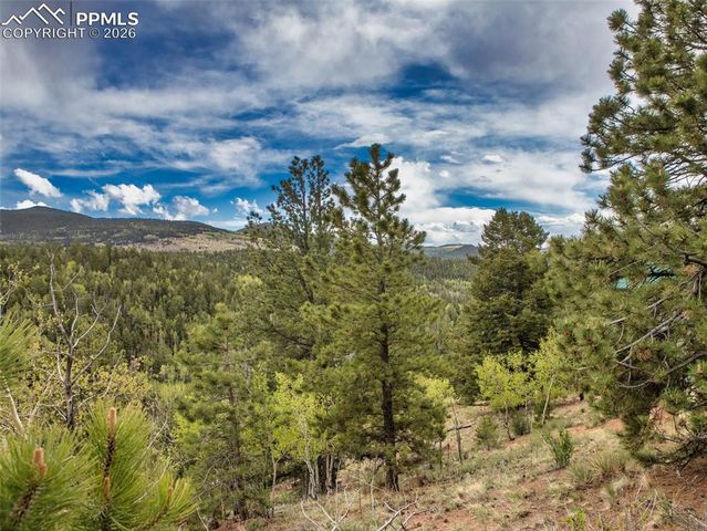 282 Little Topsey Drive, Cripple Creek, CO 80813