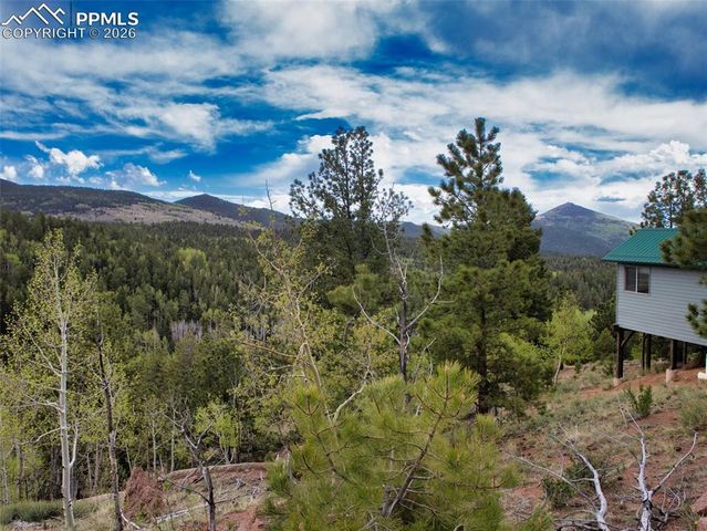 282 Little Topsey Drive, Cripple Creek, CO 80813