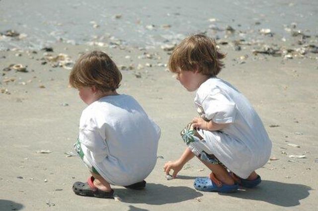 7 Gun Bluff Road, Edisto Island, SC 29438