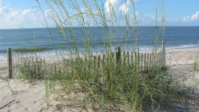7 Gun Bluff Road, Edisto Island, SC 29438
