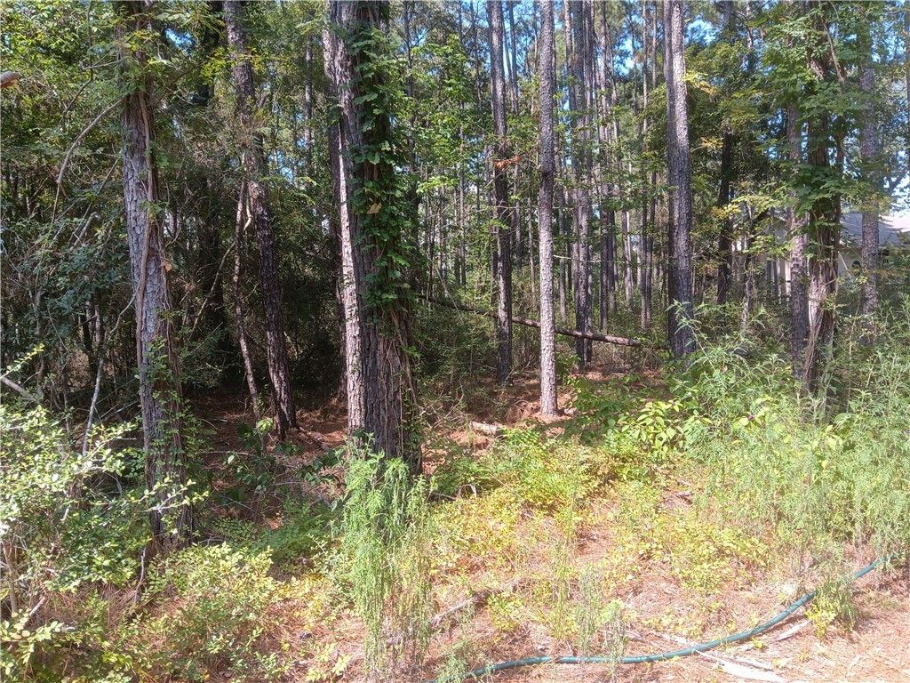 LOT 17 & 18 Honey Locust Lane NA, Plantersville, TX 77363 — photo 2