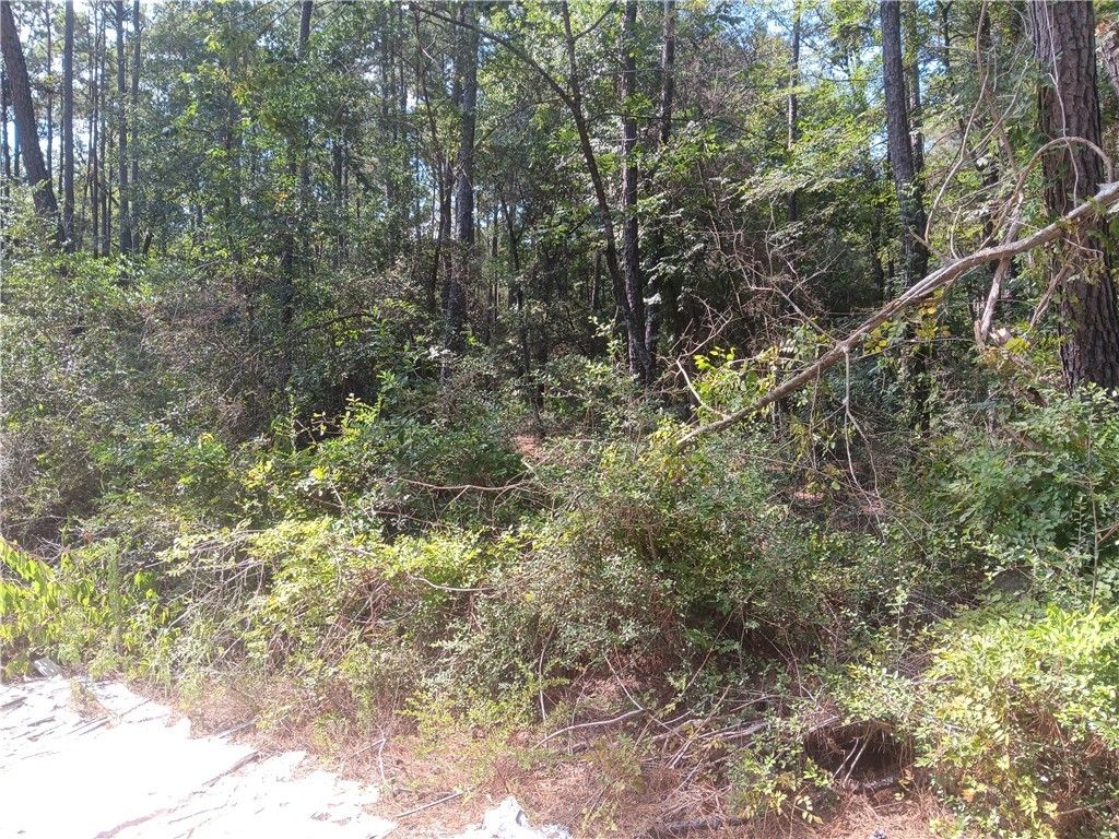 LOT 17 & 18 Honey Locust Lane NA, Plantersville, TX 77363 — photo 3