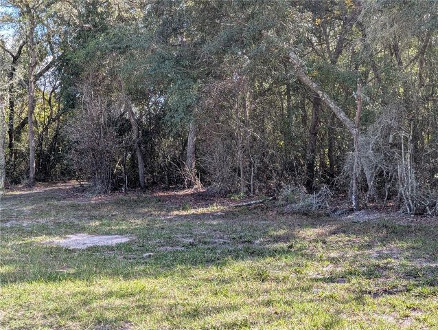 4114 E CAMP IZZARD PLACE, Dunnellon, FL 34434
